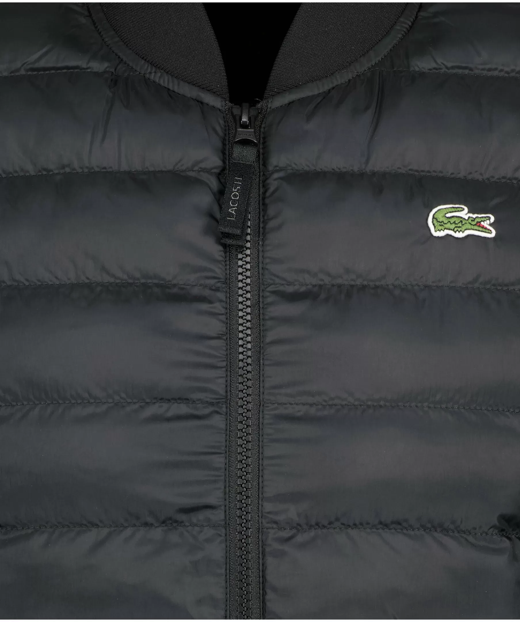 Lacoste Västar^Insulated Vest