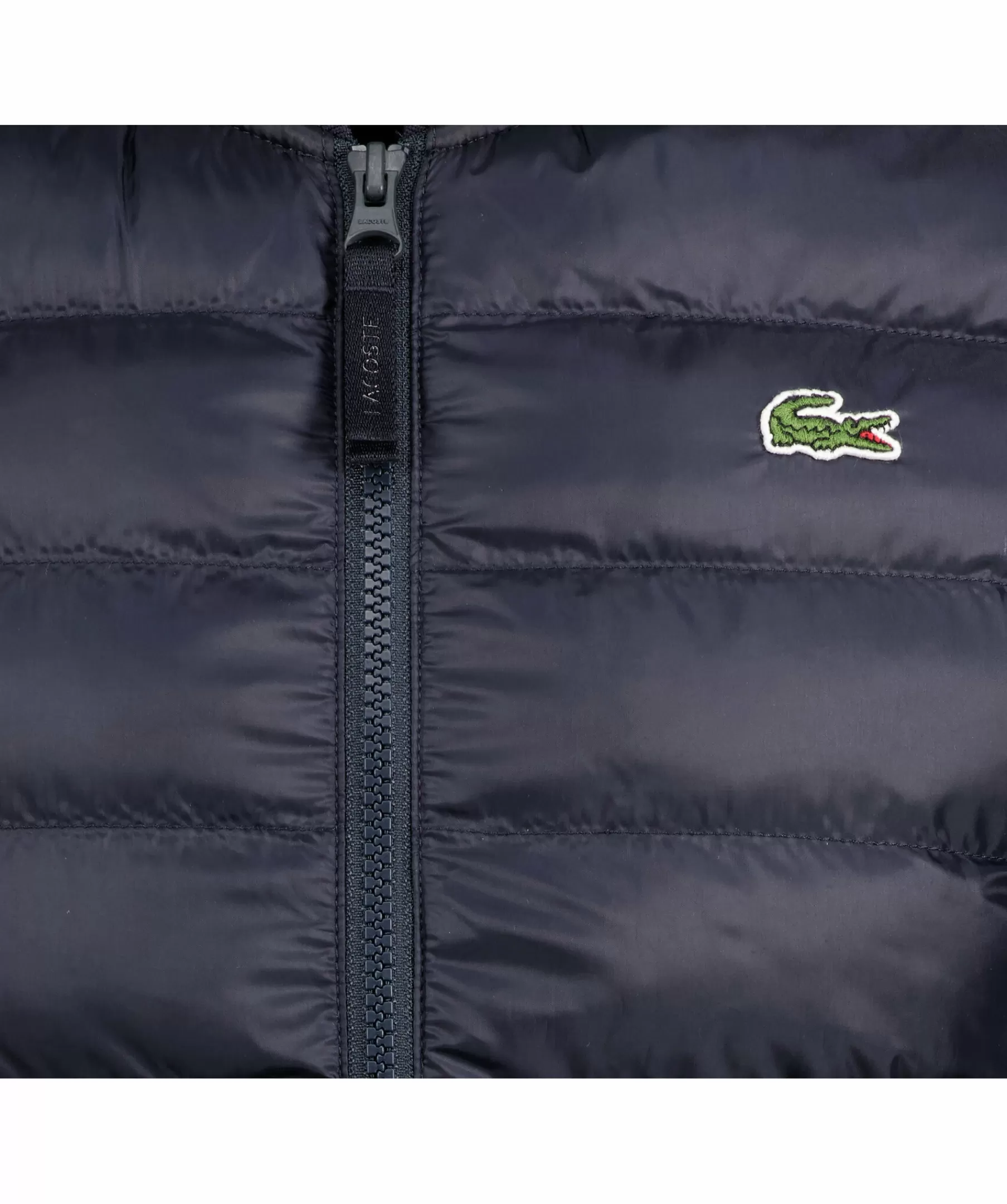 Lacoste Västar^Insulated Vest