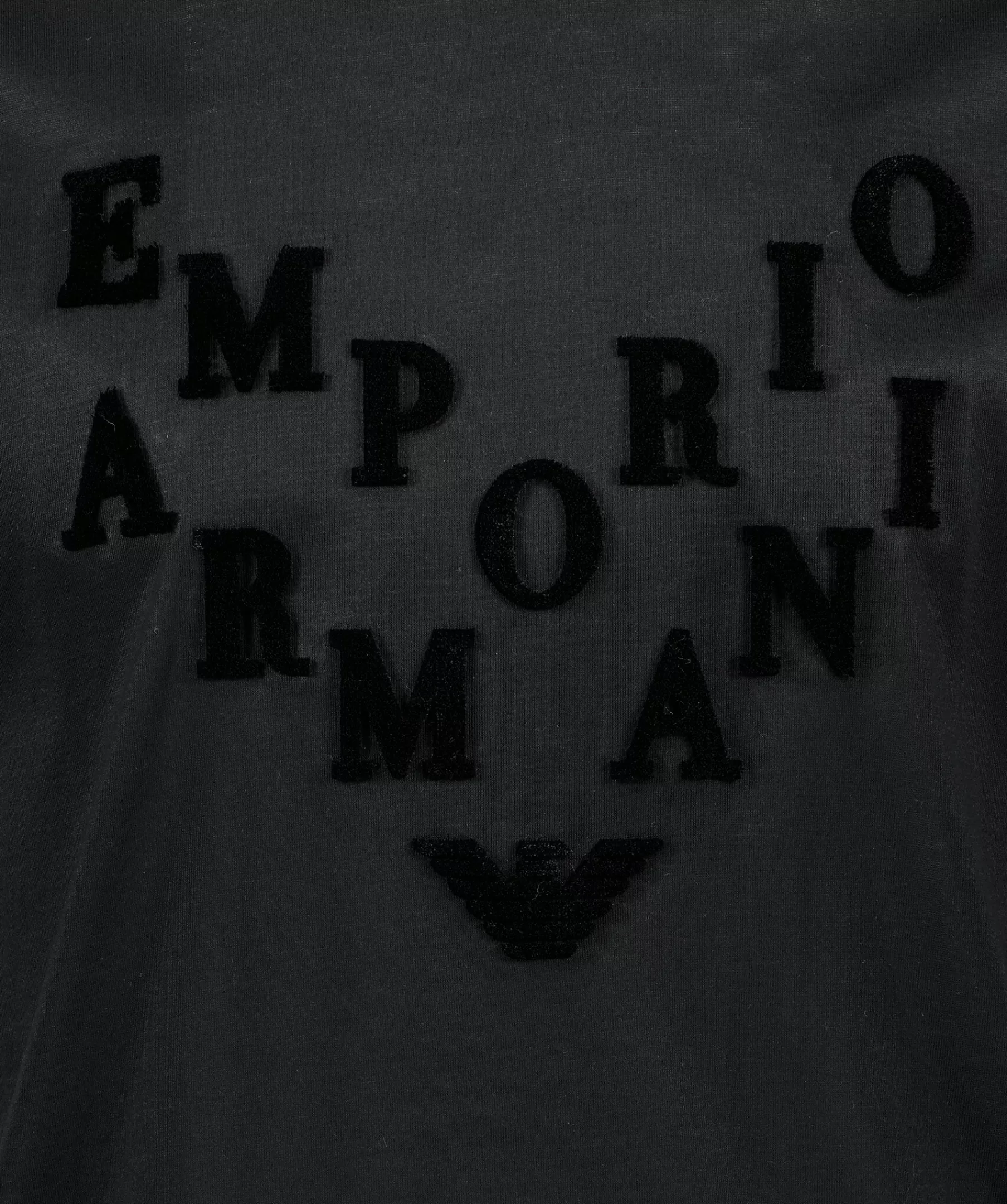 Emporio Armani T-Shirts^Velvet Logo T-Shirt