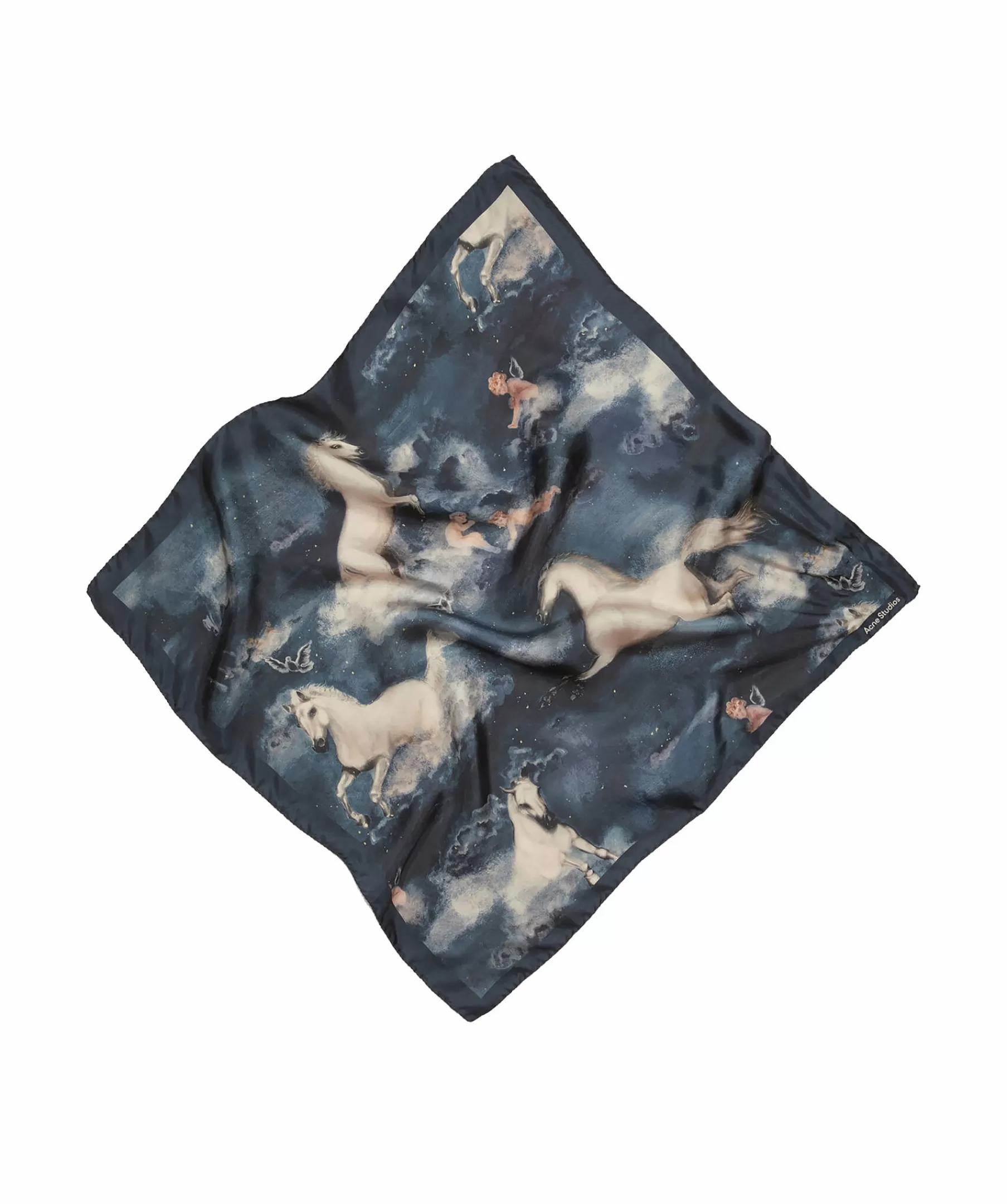 Acne Studios Halsdukar & Scarves^Verka Silk Scarf